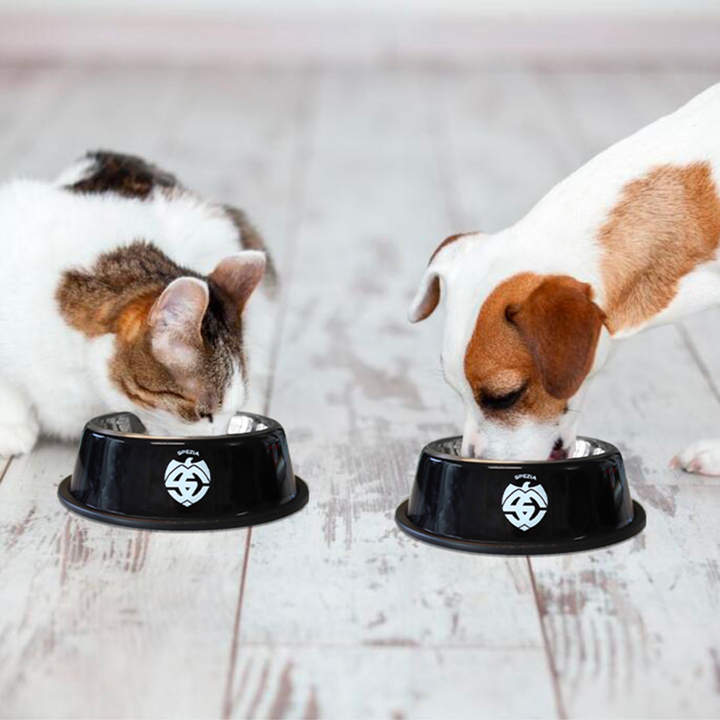 Bowls set