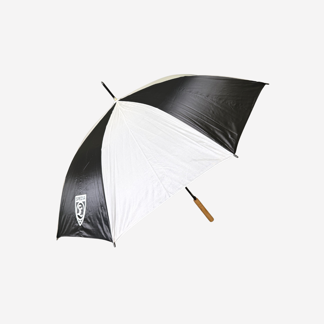 Large Umbrella
