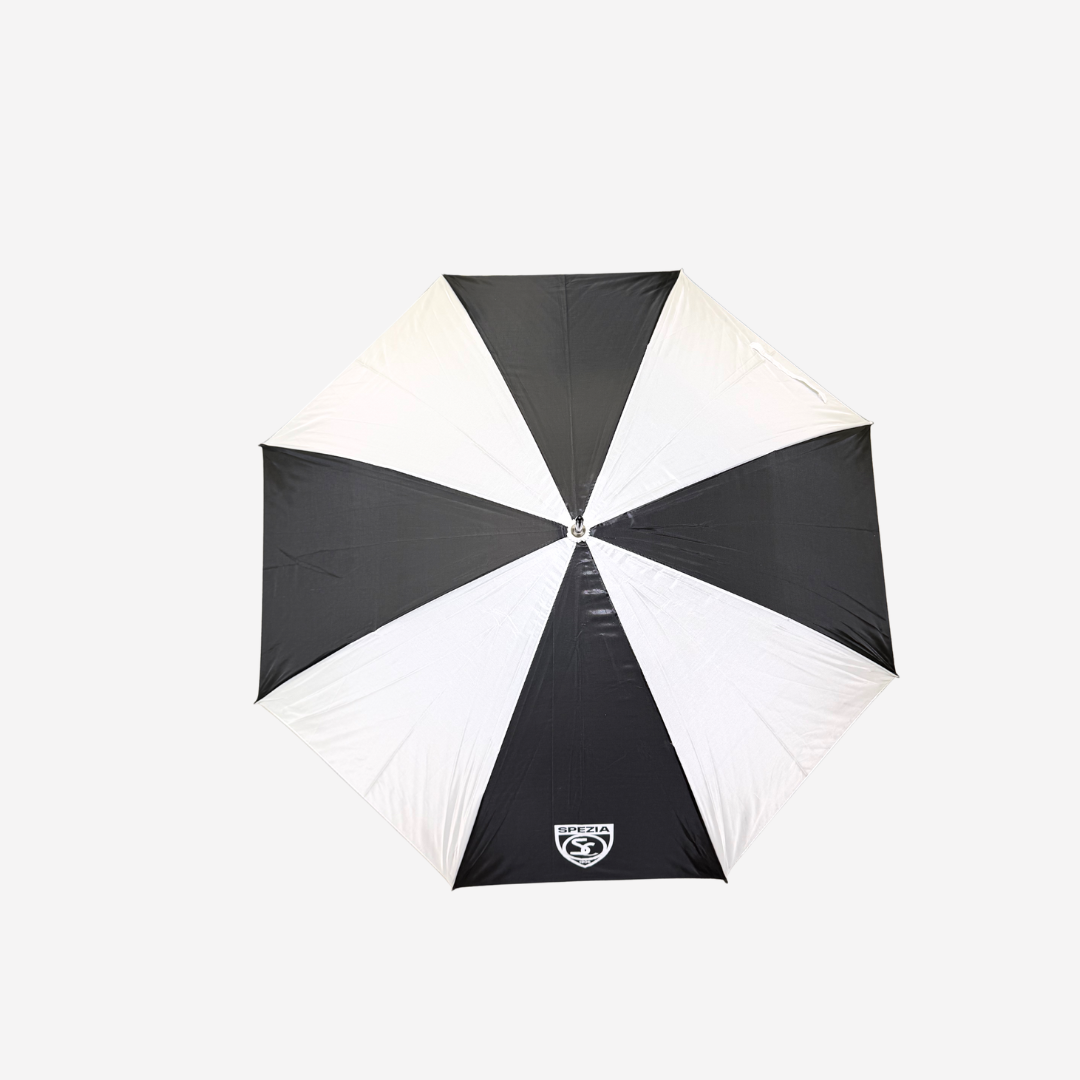Large Umbrella